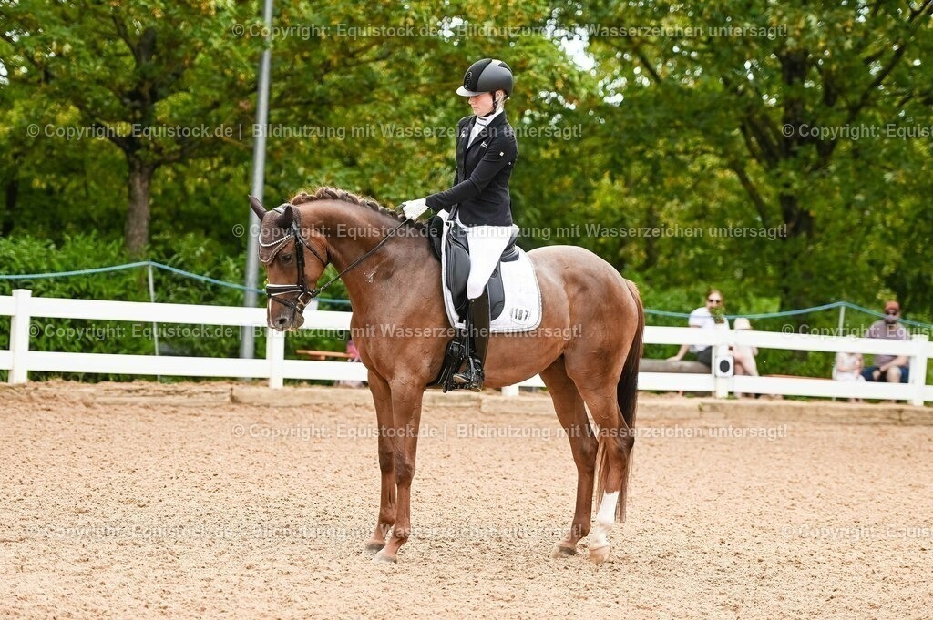 20230715_07_Dressurpferdeprfg. Kl.L_0046 | equistock