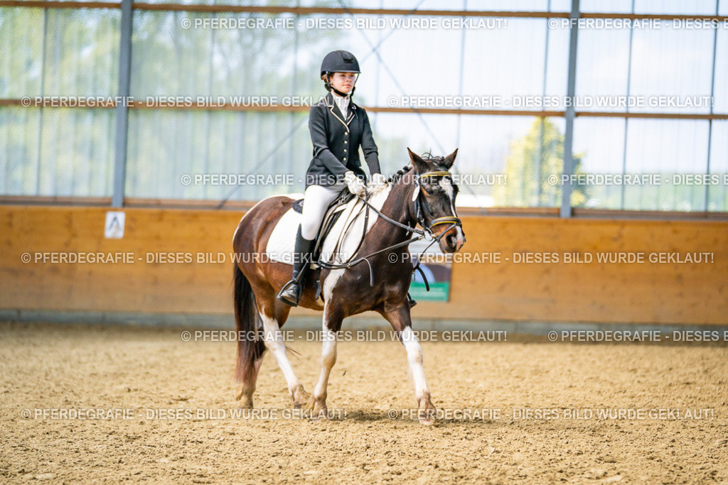 DSC03435 | Pferdegrafie