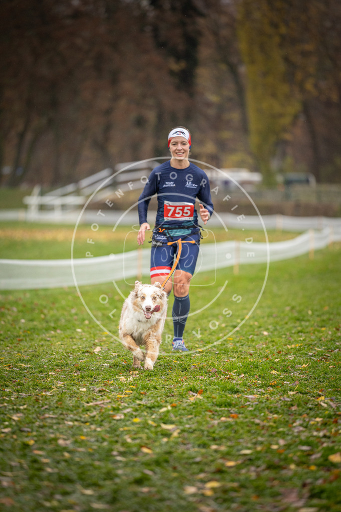 CaniXpix_DV3A9547 | Hundefotografie, Tierfotograf, Pfotenfotografie, Fotoshooting Hund, Hunde Portrait, Hundesport, Hundeportraits, Heideshooting, Hunde, Sportfotograf, Hundefotograf, Turnierhundsport, THS,  - Realisiert mit Pictrs.com