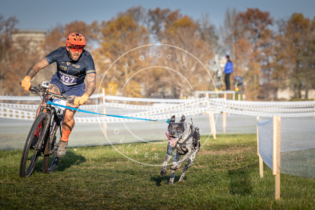 CaniXpix_0L8A4209 | Hundefotografie, Tierfotograf, Pfotenfotografie, Fotoshooting Hund, Hunde Portrait, Hundesport, Hundeportraits, Heideshooting, Hunde, Sportfotograf, Hundefotograf, Turnierhundsport, THS,  - Realisiert mit Pictrs.com