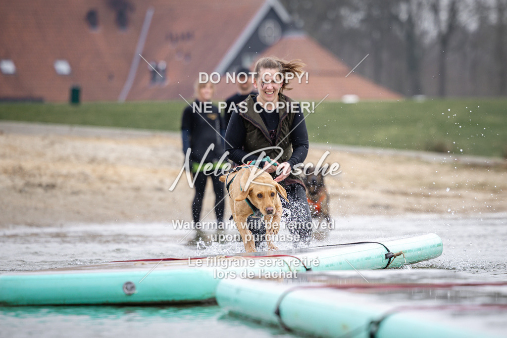 nelerasche_Hulsbeek_Sa1130-1230_422 | nelerasche