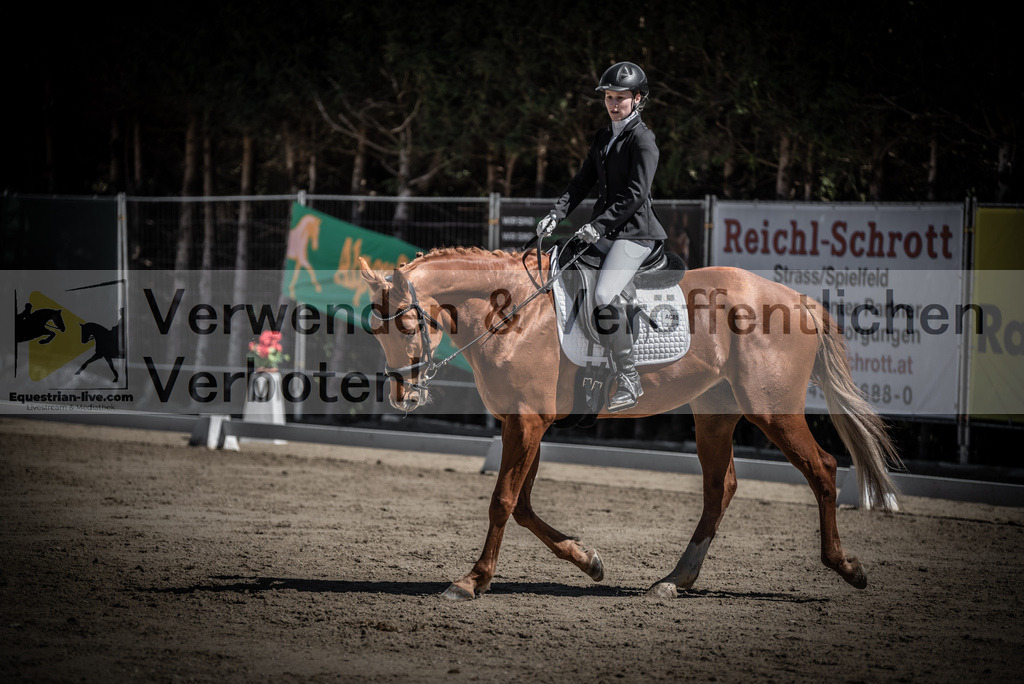 DSC_0087 | equestrian-live-com