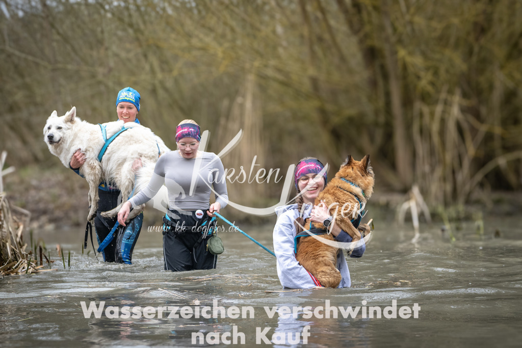 1054_ZZ93592 | kk-dogfotos