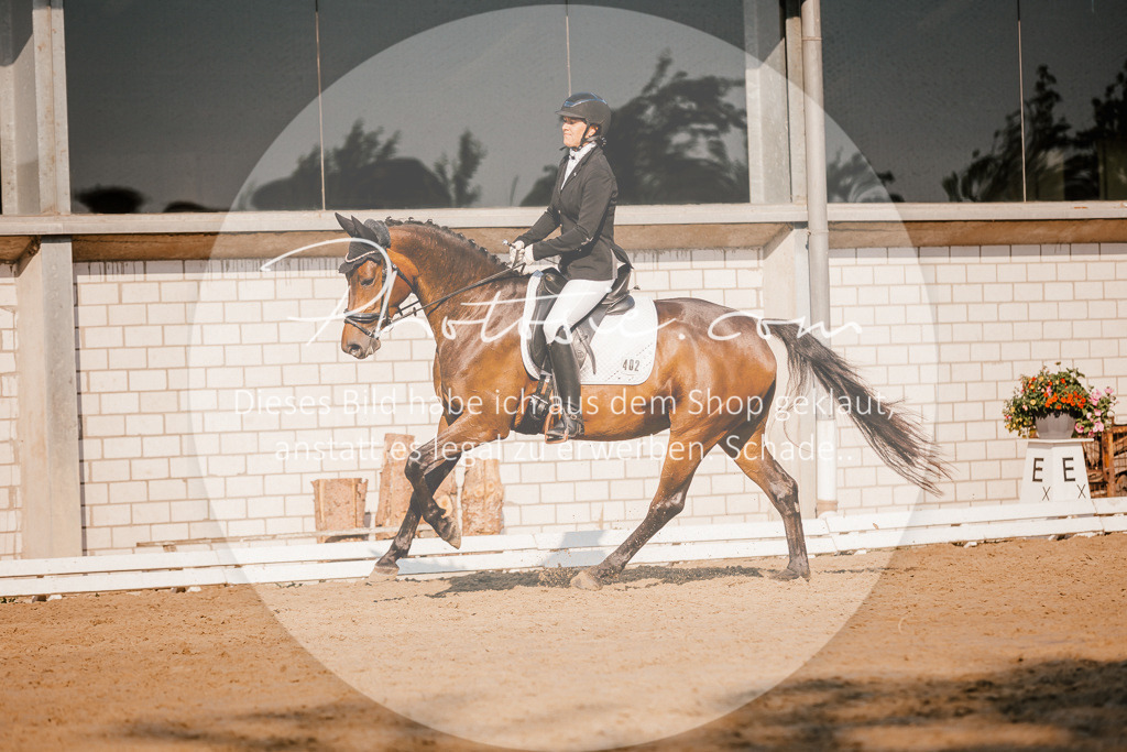 3I6A8669 | Stimmungsvolle Portraits und Reitsportfotografie im Ruhrgebiet und im Münsterland.

Pferdefotografie, Hundefotografie, Tierfotografie, Reportagen, Portraits von Tier und Mensch, Turnierfotografie in Bochum, Recklinghausen, Marl, Haltern am See, Dülmen.. - Realisiert mit Pictrs.com