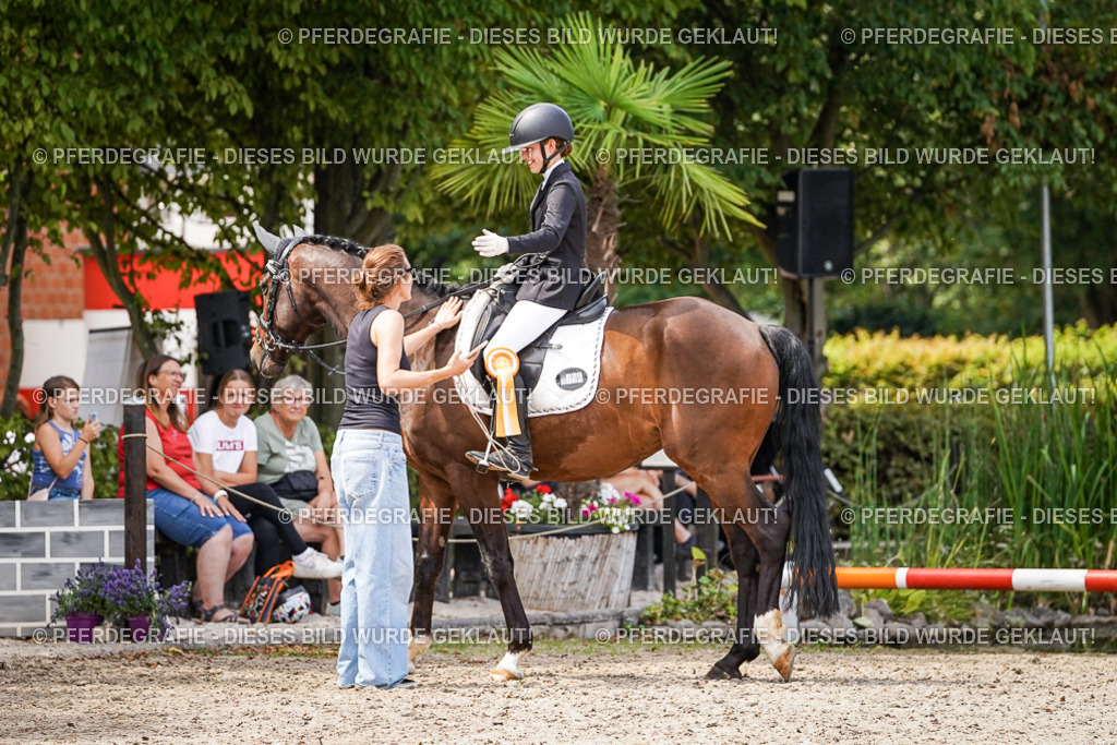 DSC04710 | Pferdegrafie