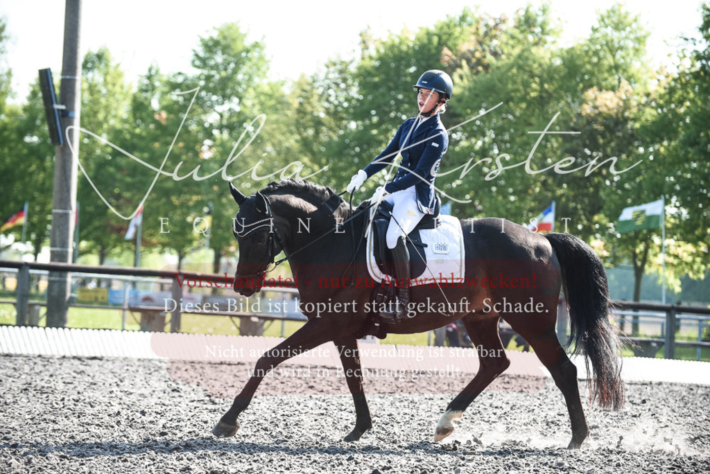 DSC_8583 | Pferde- und Turnierfotografie in Westsachsen. Pferdeportraits, Auftragszeichnungen und intuitive Kunst.