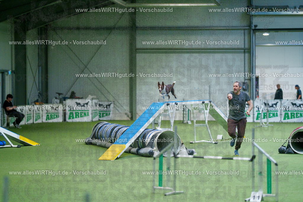 @allesWIRTHgut_Tierfotografie - www.allesWIRTHgut.de - 2604250837-7R507179 | Professionelle Tierfotografie in Mönchengladbach von Daniel Wirth (allesWIRTHgut). Liebevolle & natürliche Bilder von Hunden & Katzen für unvergessliche Erinnerungen.