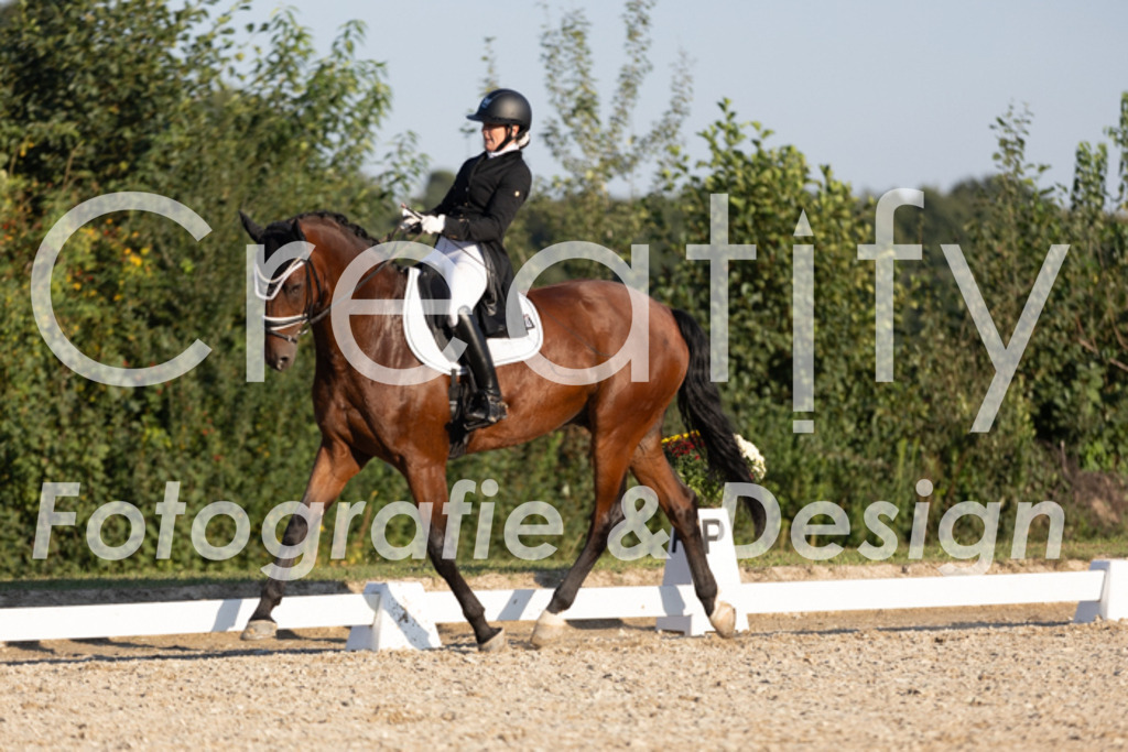 IMG_1252 | Creatify Fotografie