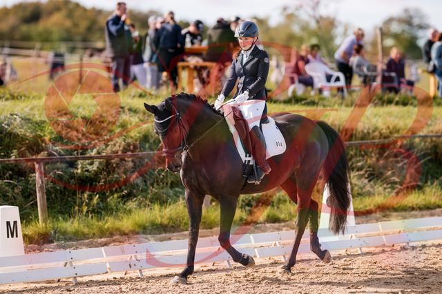 2026_10_03_Siefer-Hof_121335_Z81_13993540 | Professionelle Reitsport-, Turnier- und Eventfotografie von Robert Broda. Galerien mit ausgewählten und bearbeiteten Bildern direkt online ansehen und bestellen.
