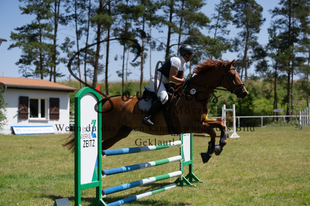 A7V05953 | Pferdefotograf