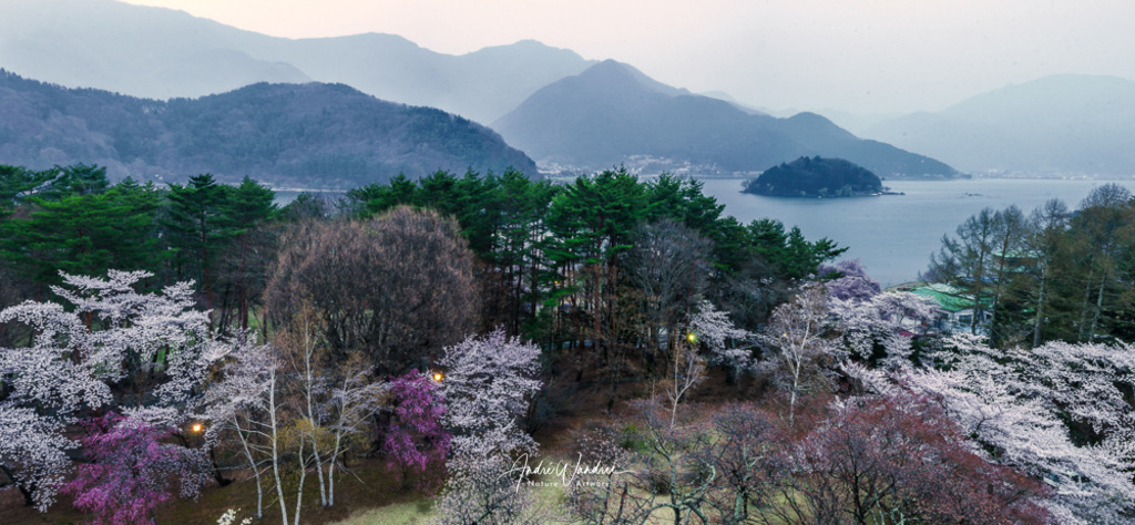 Frühling in Fuji Hakone | Andre Wandrei - Nature Artworx - Realisiert mit Pictrs.com
