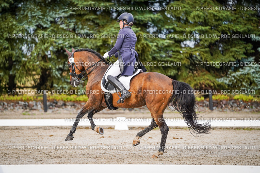 DSC00322 | Pferdegrafie