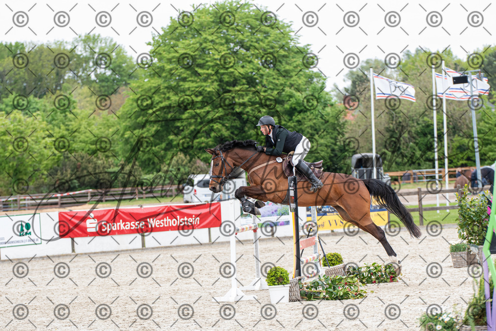 KPT_8674 | andre_photographic