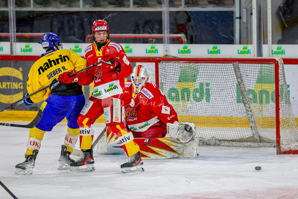 EHCB vs HCD-0883 | Sportbilder, Sportfotograf, Hochzeits- und Eventfotografin, Flugshows, Portraits und Tiershooting, Aviation, Downhill, Nationalleague, Swissleague, International