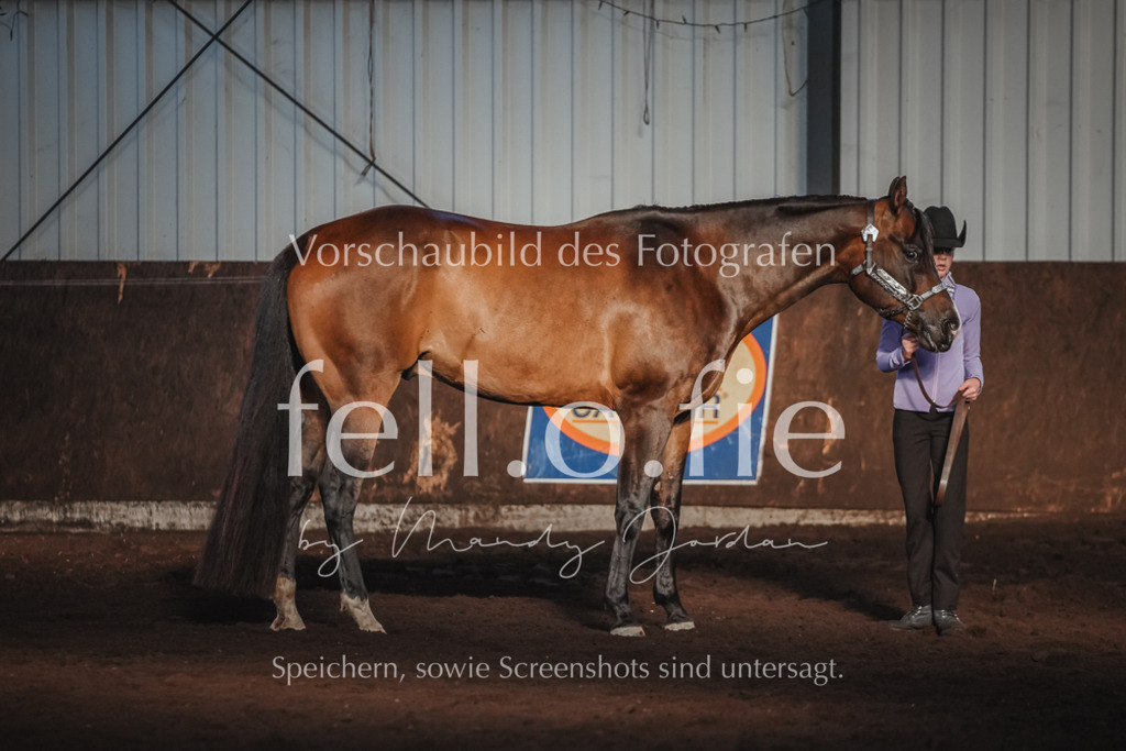 fell.o.fie_mandyjordan_2024_06_09701 | Mandy Klecke Fellfotografie, fell.o.fie Fotografenshop - Realisiert mit Pictrs.com
