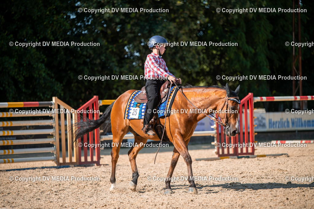 EWP_7013 | dv-media-shop - Realisiert mit Pictrs.com