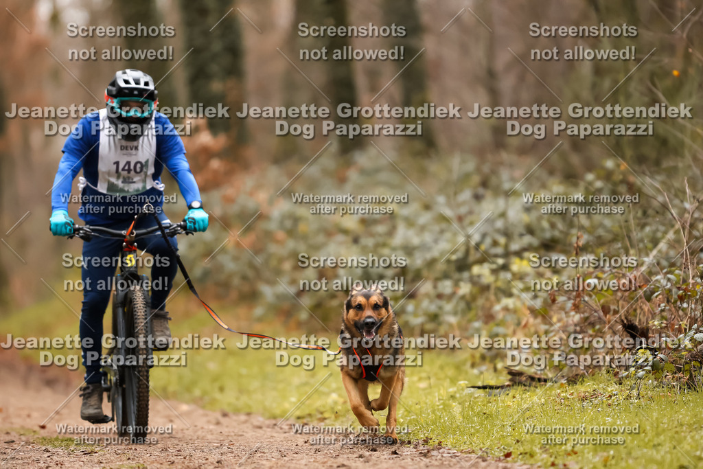 Dog Paparazzi - Speedhunter Mannheim  2025-393 | Dog Paparazzi Jeanette Grottendiek Fotografie & Videografie