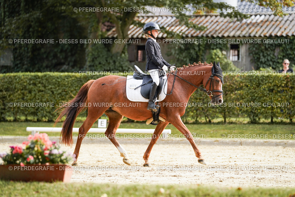 DSC04889 | Pferdegrafie