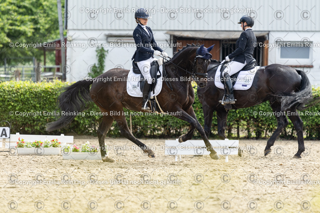 CL5A5398 | Emilia Reinking Fotografie - Realisiert mit Pictrs.com