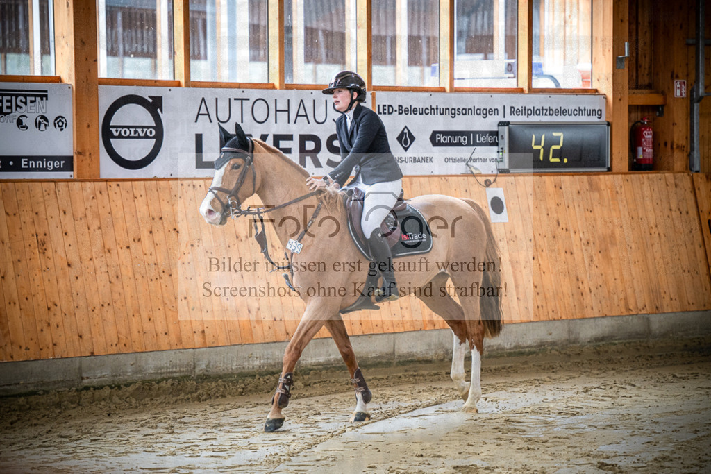 DOS_0299 | Entdecke hochwertige Reitturnierfotos von Foto Oger. Professionell, emotional und authentisch – jetzt Lieblingsmomente im Shop bestellen.Deutschlandweite Turnierfotografie. - Realisiert mit Pictrs.com
