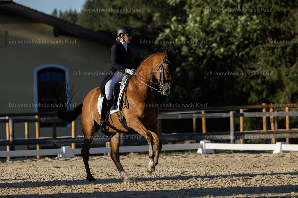 FHC2026_P09_12_19281 | Fichtenhof Classics 2026 – Grand Prix de Dressage - VOLTAIRE Design Preis, Reitanlage Fichtenhof, Sch ftlarn