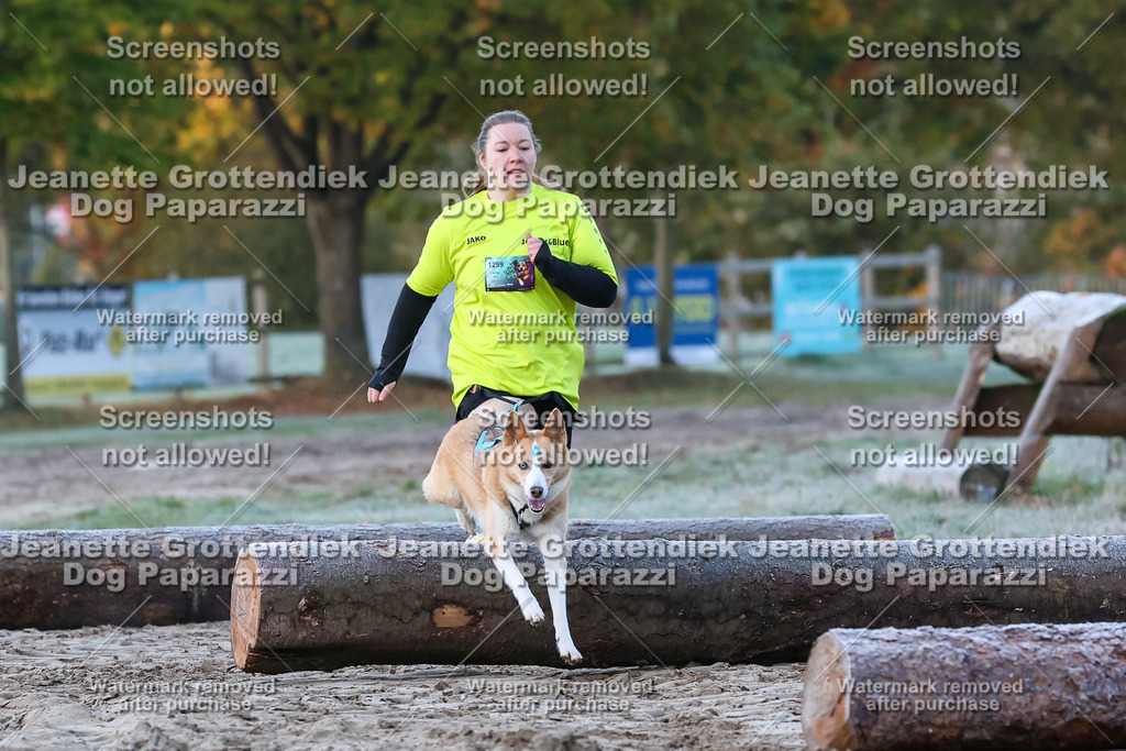 Dog Paparazzi - Strongdog 10-25-136 | Dog Paparazzi Jeanette Grottendiek Fotografie & Videografie - Realisiert mit Pictrs.com