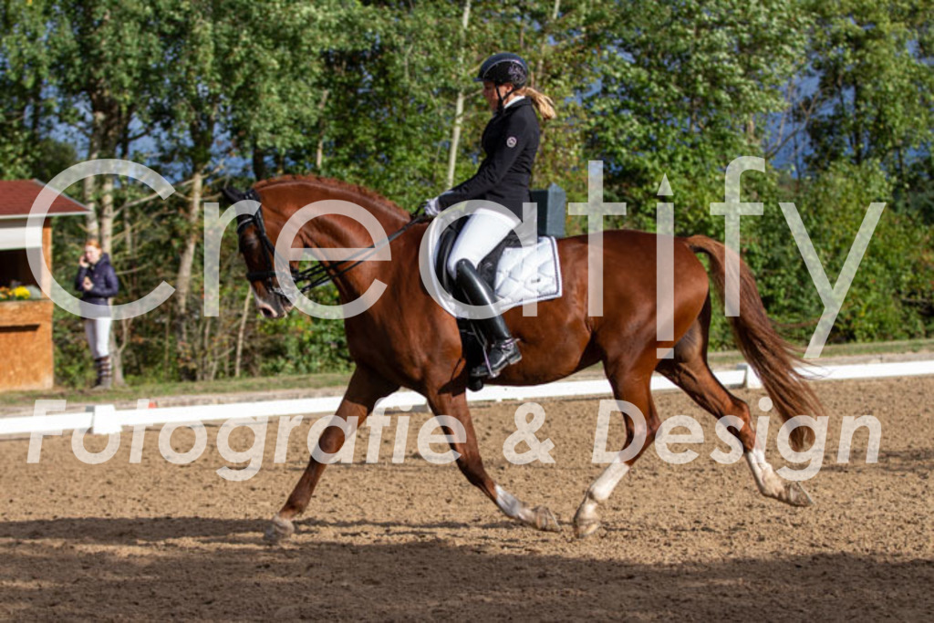 IMG_6136 | Creatify Fotografie