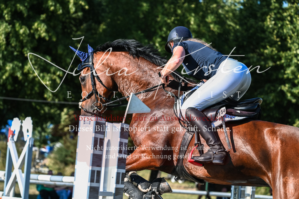 DSC_2908 | Pferde- und Turnierfotografie in Westsachsen. Pferdeportraits, Auftragszeichnungen und intuitive Kunst.