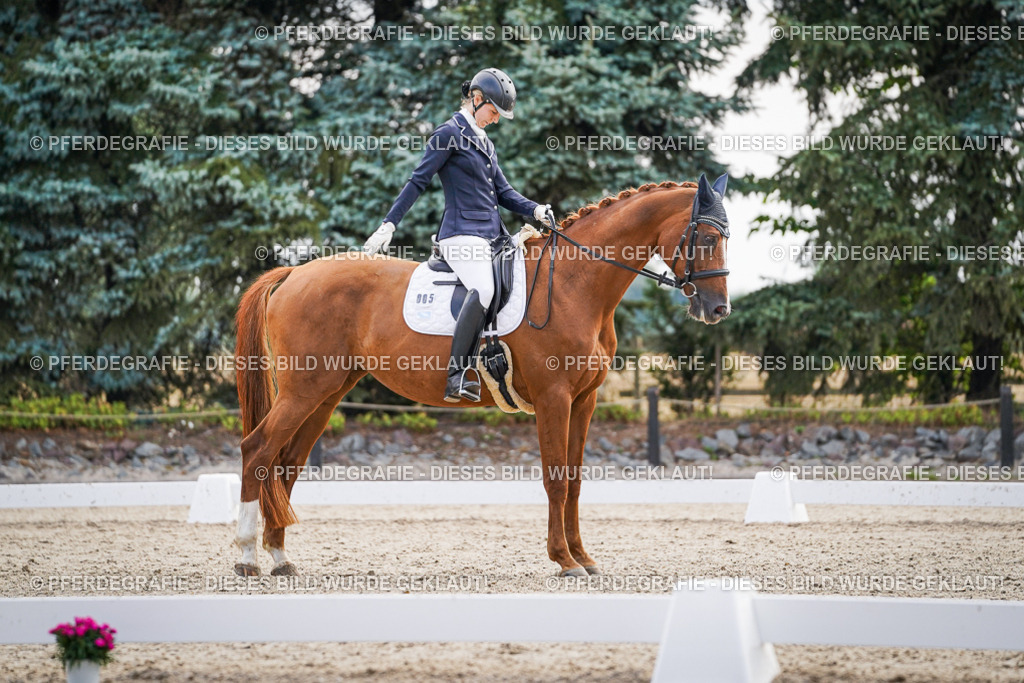 DSC00575 | Pferdegrafie