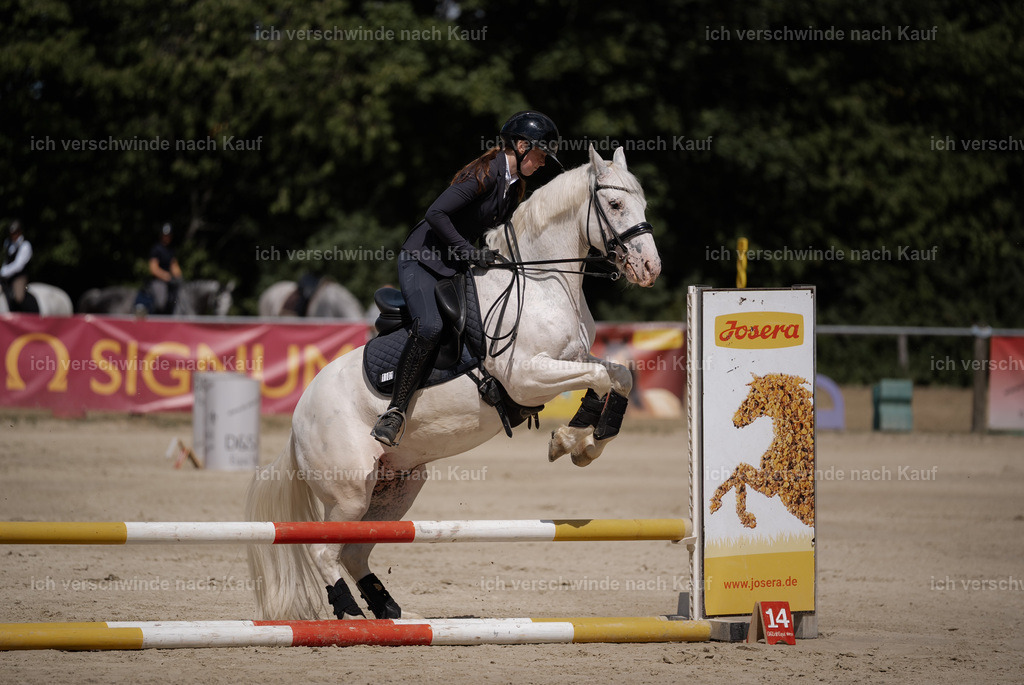 WM_SP_101_Stoibphotography_SO10020 | working equitationturnier fotograf videograf stoibphotography marixx film working equitation deutschland reitsport turnierfotografie eventfotografie equestrian events