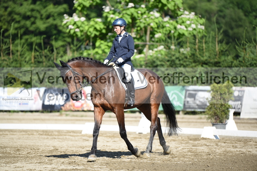 DSC_7458 | equestrian-live-com
