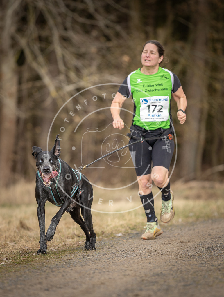 DV3A5393 | Hundefotografie, Tierfotograf, Pfotenfotografie, Fotoshooting Hund, Hunde Portrait, Hundesport, Hundeportraits, Heideshooting, Hunde, Sportfotograf, Hundefotograf, Turnierhundsport, THS,  - Realisiert mit Pictrs.com
