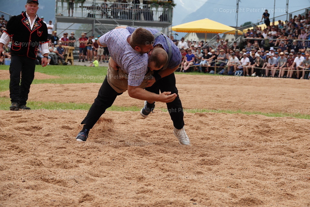 DSC01223 | Schwingen - Realisiert mit Pictrs.com