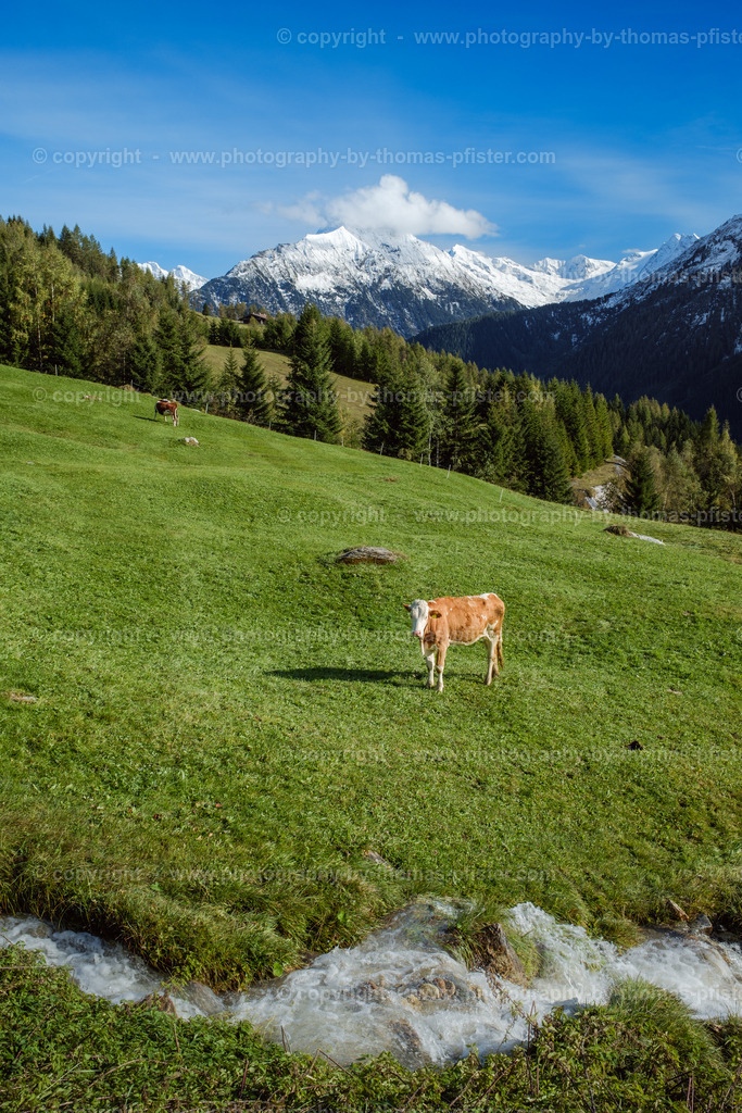 Schneetal Schrofenalm copyright  Thomas Pfister-1 | PHOTOGRAPHY BY THOMAS PFISTER