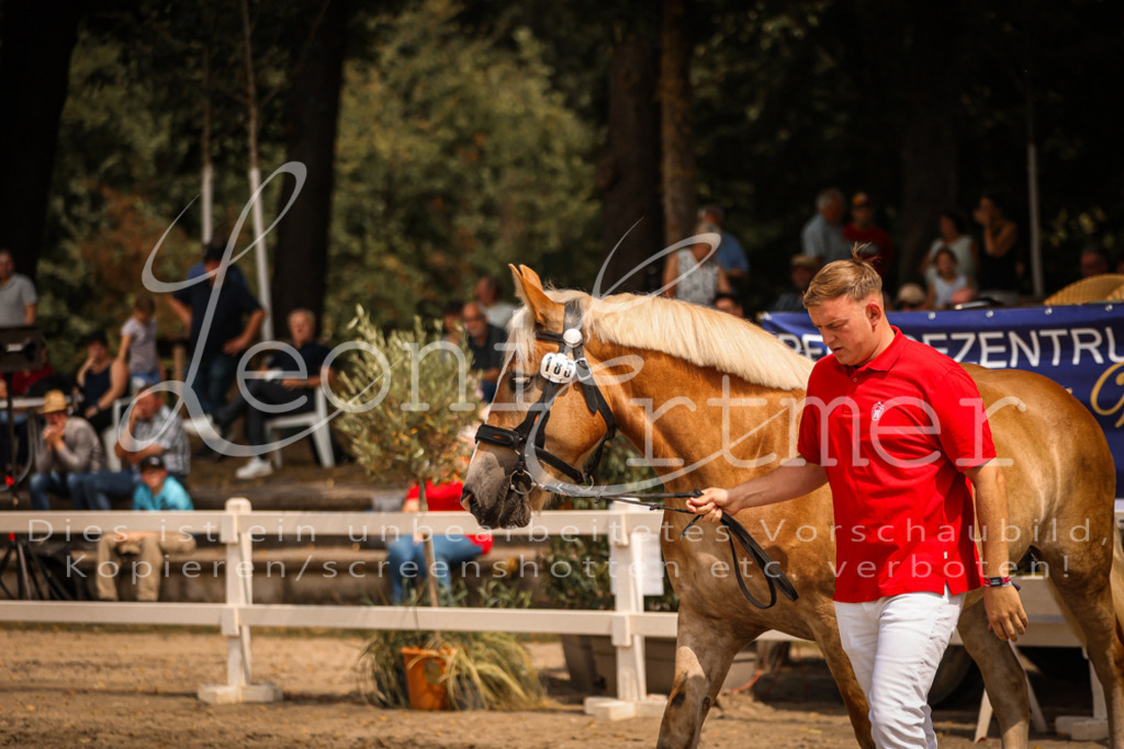 2.Sa00052 | Leoni Ertmer Photography - Realisiert mit Pictrs.com