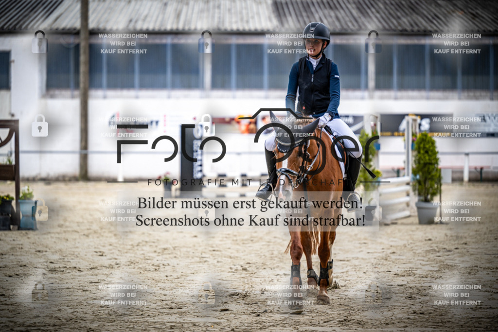 Turnier Laggenbeck 2026-15-0084 | Entdecke hochwertige Reitturnierfotos von Foto Oger. Professionell, emotional und authentisch – jetzt Lieblingsmomente im Shop bestellen.Deutschlandweite Turnierfotografie. - Realisiert mit Pictrs.com