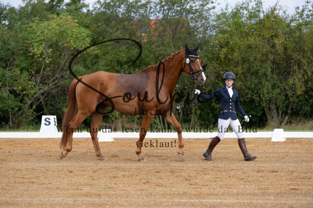 A7V03820 | Pferdefotograf