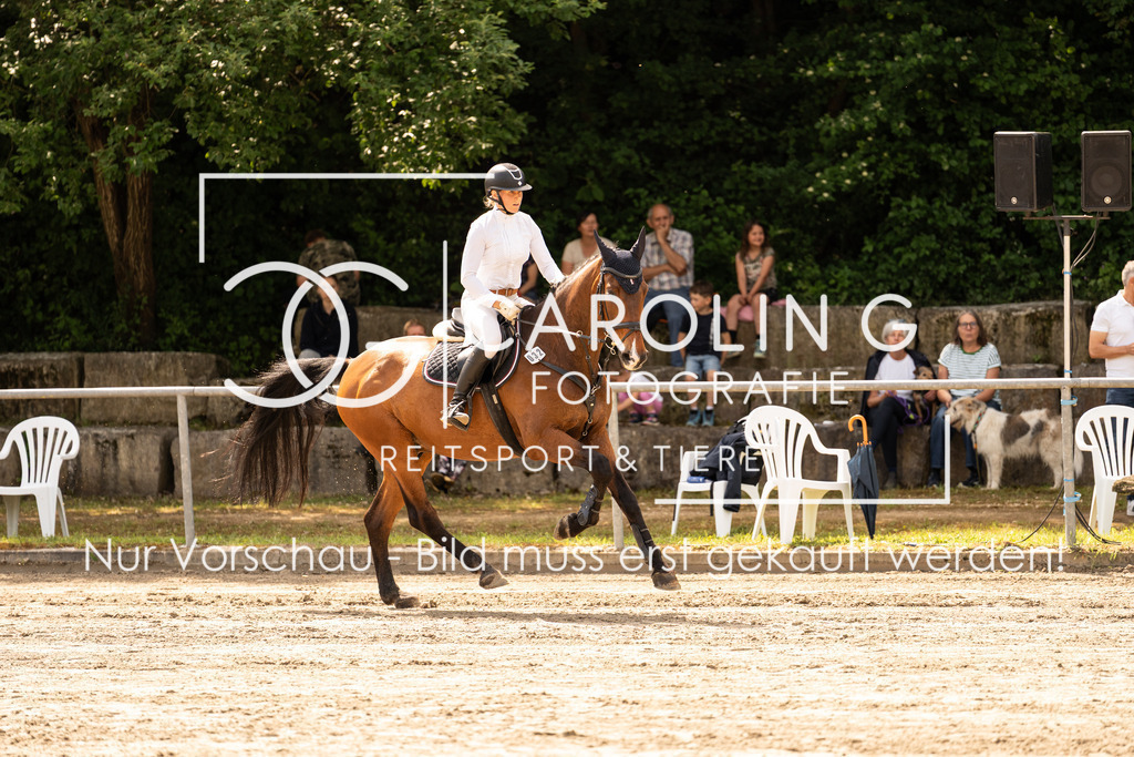 DSC02331 | Carolin Gieschke