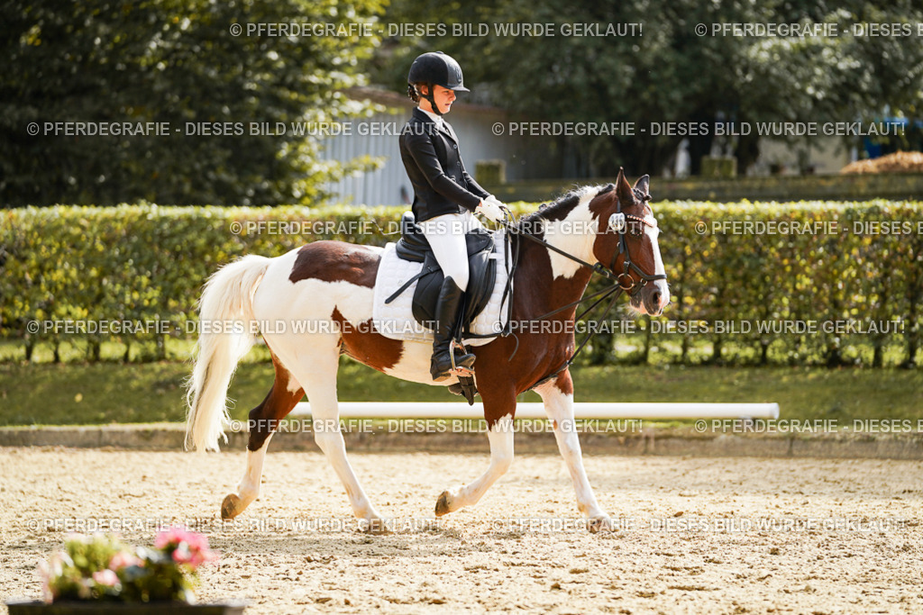 DSC01397 | Pferdegrafie