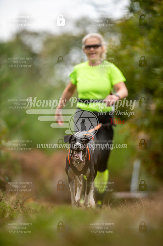 TSB_2023_E5_Canicross-73 | PayLife