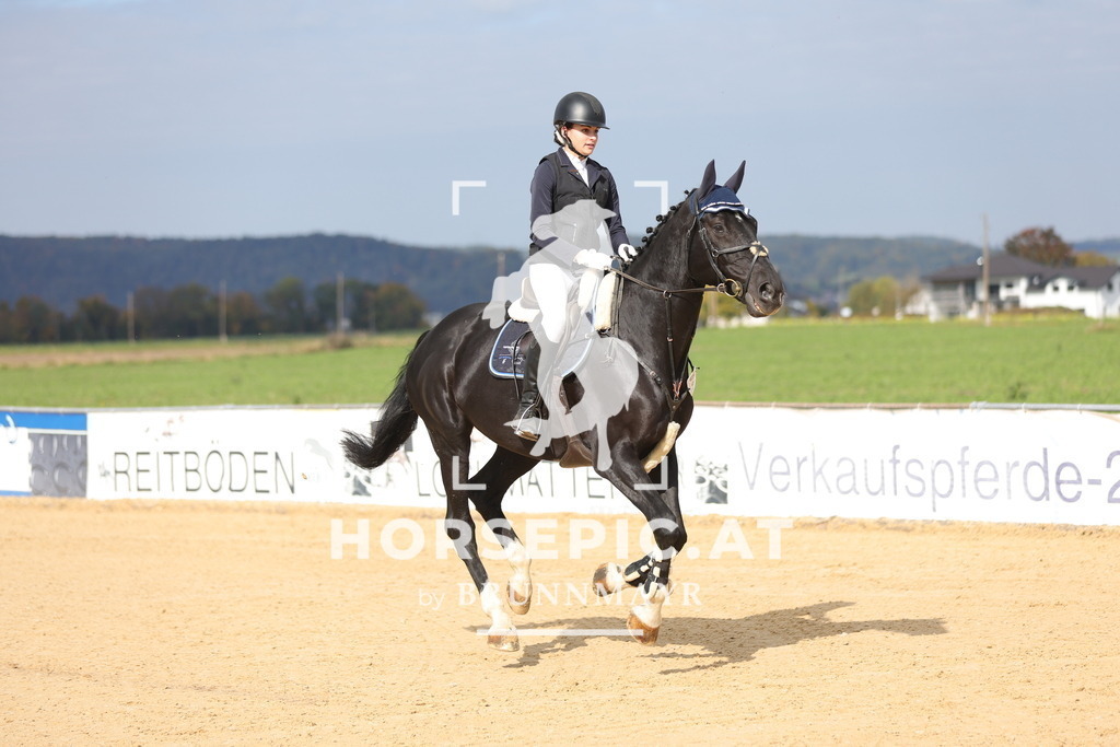 0P6A8567 | Willkommen bei Brunnmayr - Design & Fotografie – Ihrem Spezialisten für Reitturniere und Pferdeveranstaltungen in Oberösterreich, Salzburg und Bayern! Seit über 17 Jahren sind wir leidenschaftlich dabei.