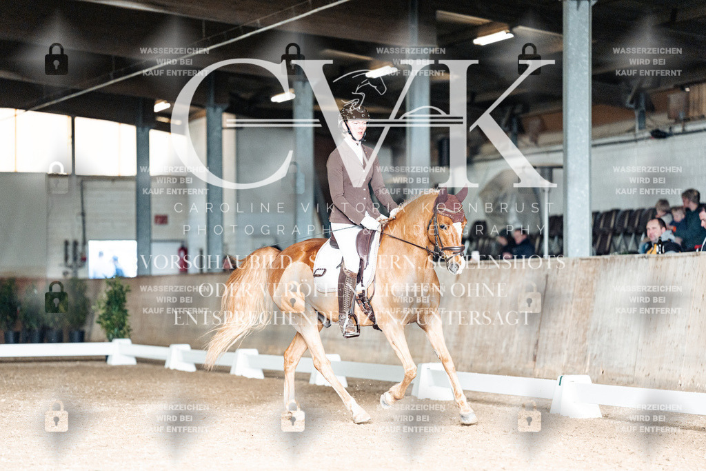 CK902936 | Turnierfotografie Pferdefotografie Trier Rheinland-Pfalz Pferdesport Reitsport Tierfotografie Sportfotografie Pferdevideo Pferdevideografie Equestrianvideography equestrianphotography  - Realisiert mit Pictrs.com