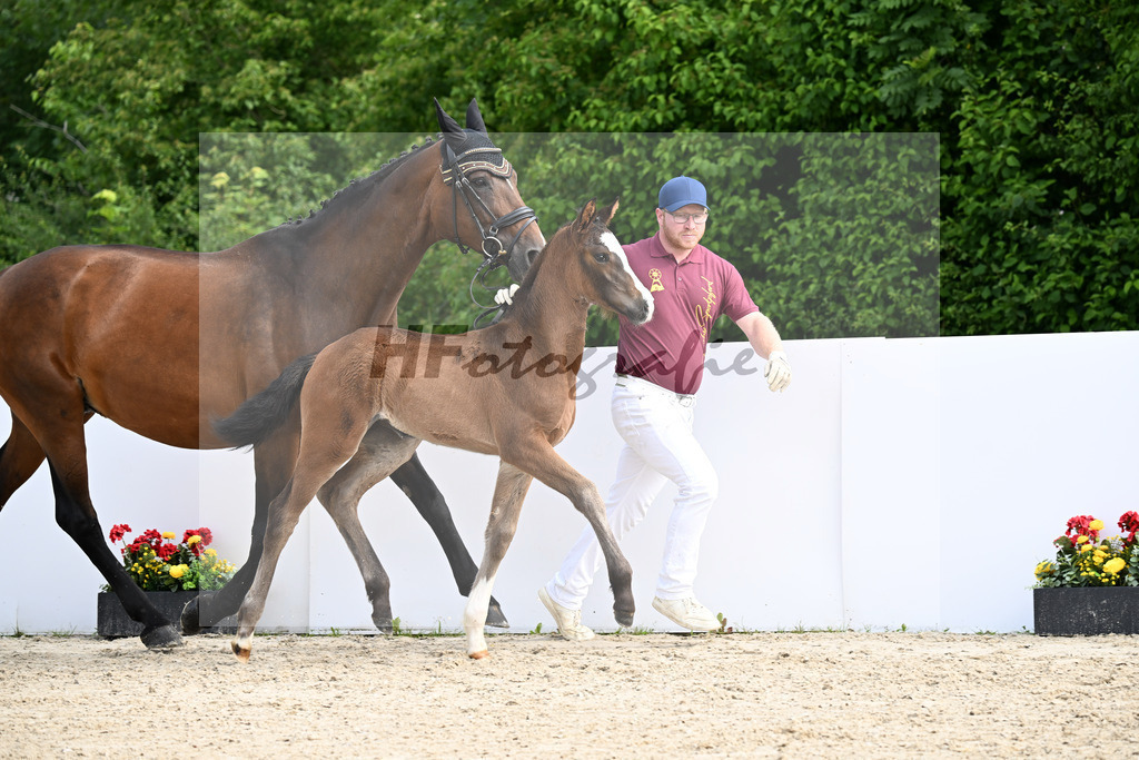 Bon Esprit x Wolkenstein II_SF_Staudenmayer_13250264 | hf-fotografie - Realizzato con Pictrs.com