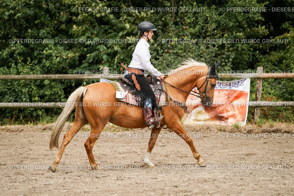 DSC00279 | Pferdegrafie