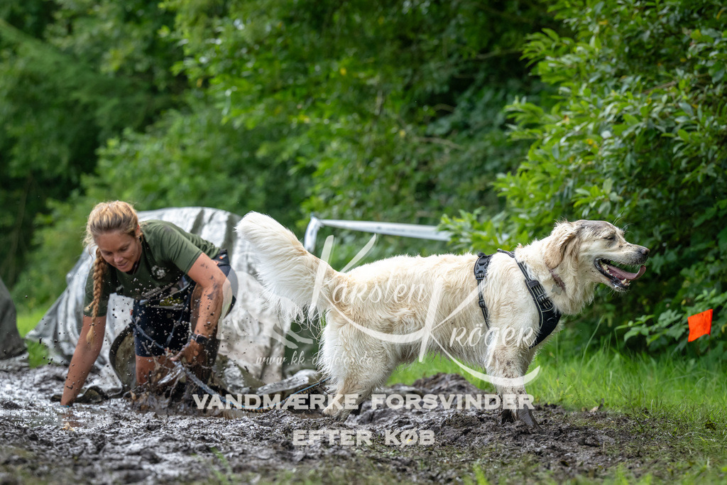 1136_ZZ93703 | kk-dogfotos