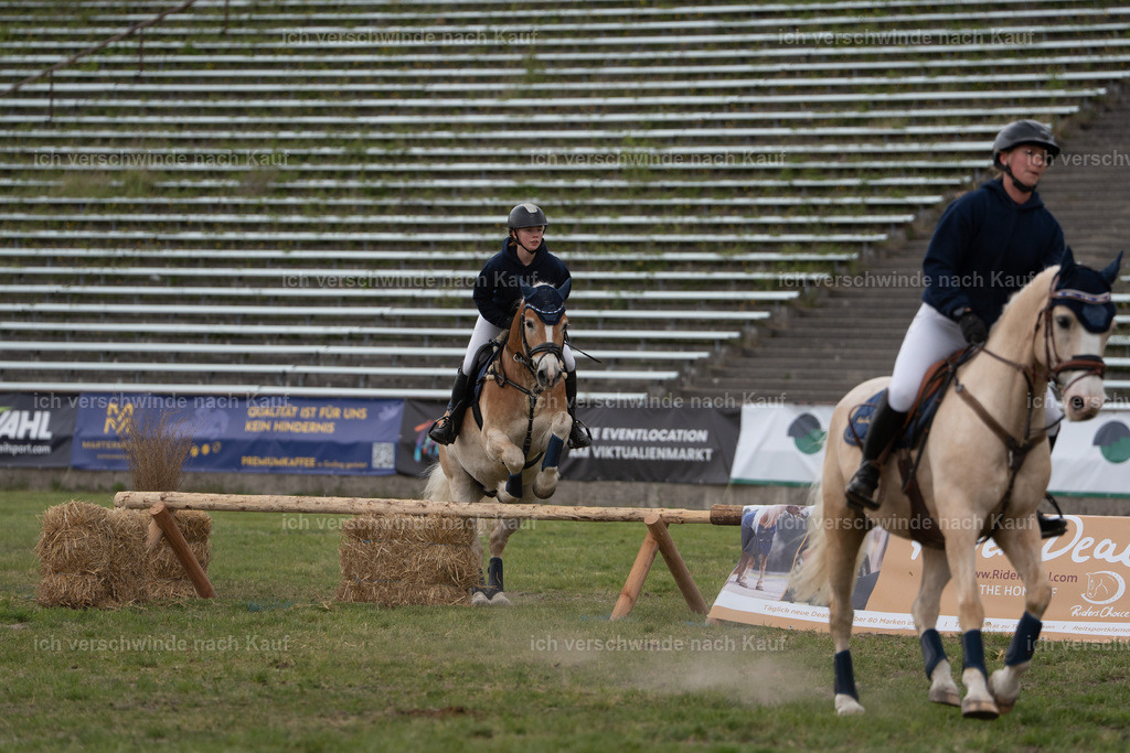 PI26_show_Jan_Picutures7C_07127.jpg | working equitationturnier fotograf videograf stoibphotography marixx film working equitation deutschland reitsport turnierfotografie eventfotografie equestrian events