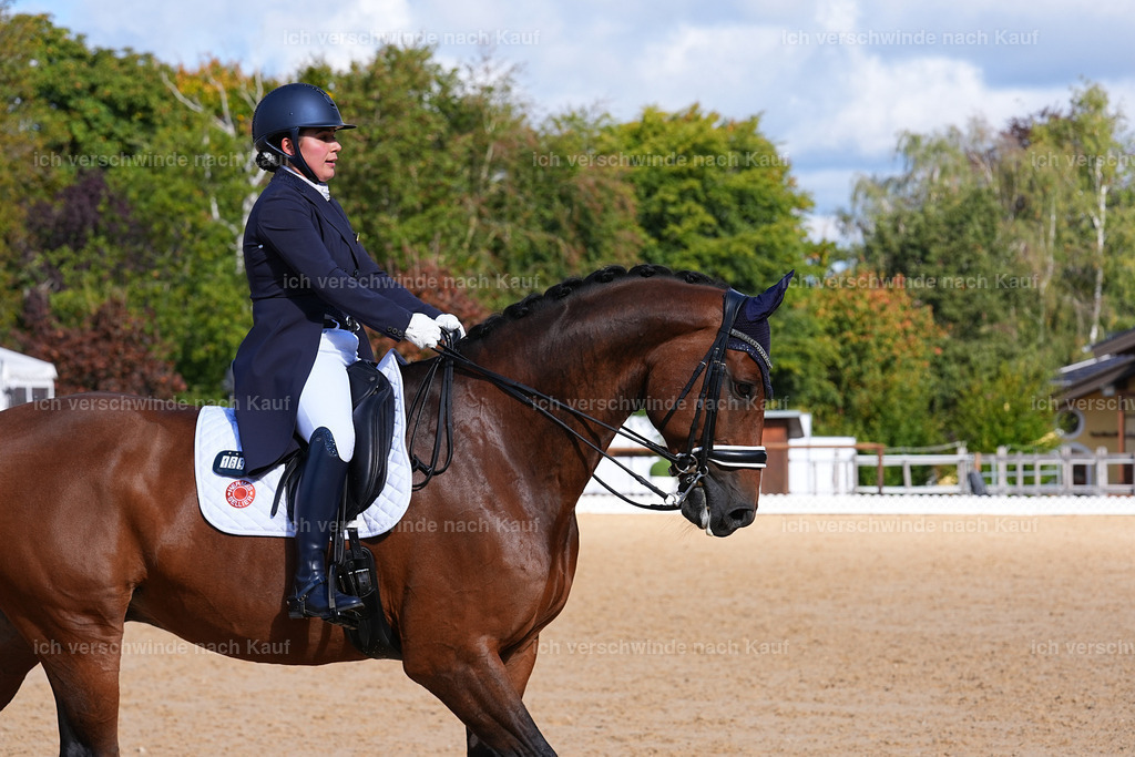 09_2-169-DRESSUR  S_  -Marixx-5937 | working equitationturnier fotograf videograf stoibphotography marixx film working equitation deutschland reitsport turnierfotografie eventfotografie equestrian events