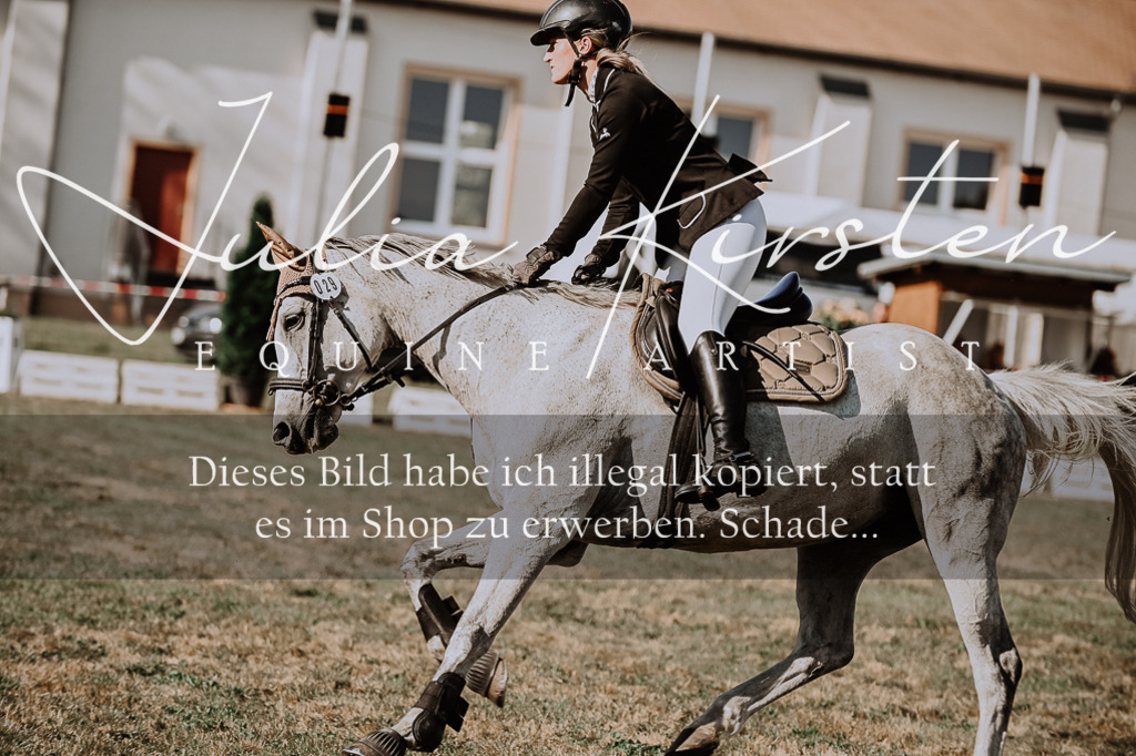 DSC_9508 | Pferde- und Turnierfotografie in Westsachsen. Pferdeportraits, Auftragszeichnungen und intuitive Kunst.