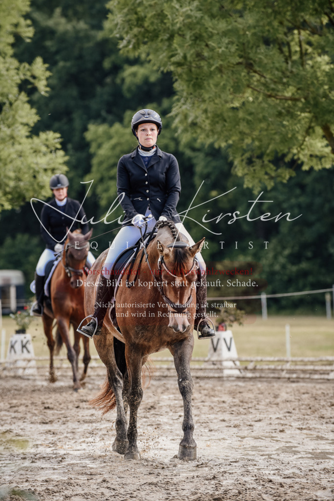 DSC_9249 | Pferde- und Turnierfotografie in Westsachsen. Pferdeportraits, Auftragszeichnungen und intuitive Kunst.