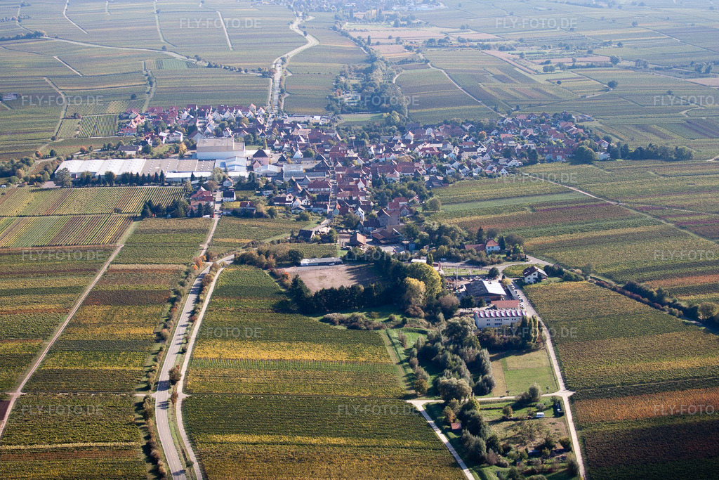 Luftbild: Ortsansicht der Straßen und Häuser der Wohngebiete in Böchingen im Bundesland Rheinland-Pfalz in Deutschland. Foto: IMG_22263.jpg vom 15.10.2009 durch Werner Riehm/FLY-FOTO.de